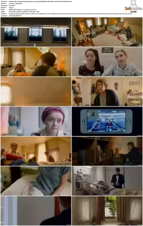 Me and Earl and the Dying Girl 2015 1080p WEBRip DV HDR HEVC X265 DTS-PoPCoRnUHD
