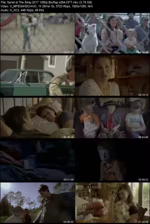 The Stray 2017 1080p BluRay x264-OFT