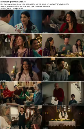 Christmas with the Singhs 2024 1080p WEBRip DDP 2.0 10bit H265-iVy