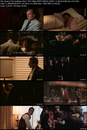 The Godfather Part II 1974 1080p PMTP WEB-DL DDP 5.1 H264-BLOOM
