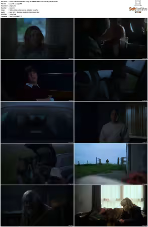 Shetland S10 2160p BB WEB-DL AAC2.0 HLG H265-playWEB