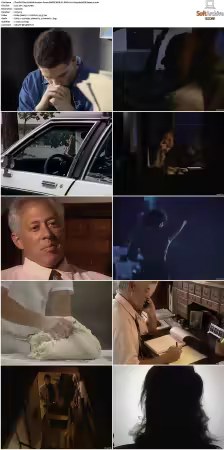 The FBI Files S01 S07 AMZN WEB-DL DDP2.0 H264-playWEB
