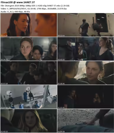 Divergent 2014 BRRip 1080p DD5.1 H265-d3g