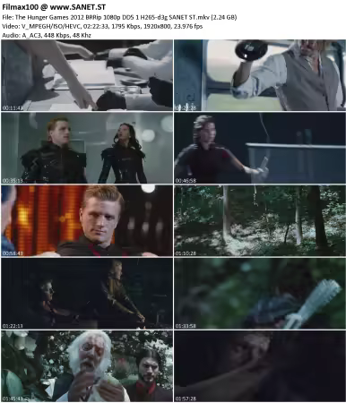 The Hunger Games 2012 BRRip 1080p DD5.1 H265-d3g