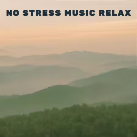 VA - No Stress Music Relax (2026)