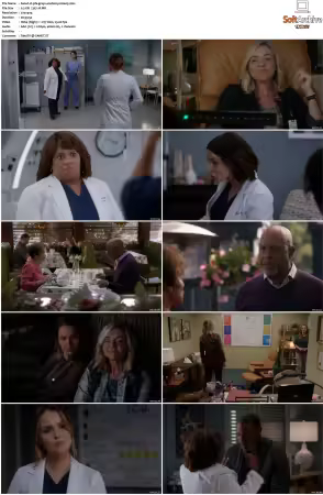 Greys Anatomy S16 DVDRip x264-PFa