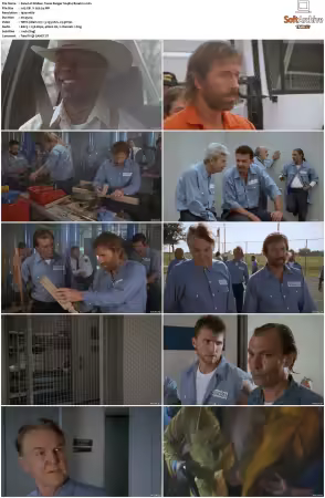 Walker Texas Ranger 1993 S01-S09 1080p WEB-DL H265 10bit DDP2.0-Zero00