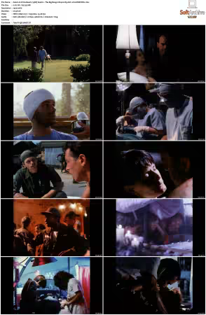 China Beach 1988 S01-S04 1080p H265 AAC 2CH-MNKYDDL