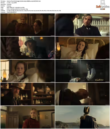 The Artful Dodger S02 1080p WEBRip x265-KONTRAST