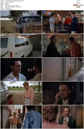 Walker Texas Ranger 1993 S01-S09 1080p WEB-DL H265 10bit DDP2.0-Zero00