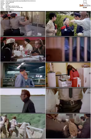 Take the Money and Run 1969 1080p BDRip DTS H264-PoPCoRn