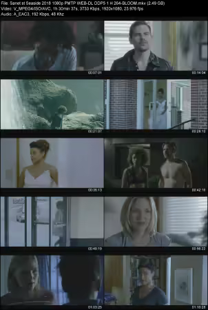 Seaside 2018 1080p PMTP WEB-DL DDP 5.1 H264-BLOOM