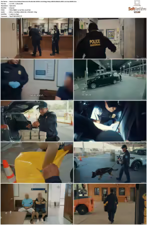 Contraband Seized at the Border S08 1080p AMZN WEB-DL DDP2.0 H264-RAWR