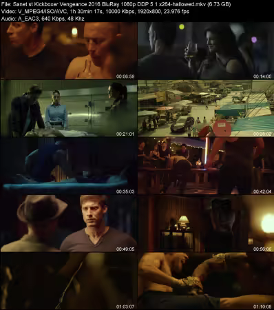 Kickboxer Vengeance 2016 BluRay 1080p DDP 5.1 x264-hallowed