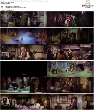 The Wonderful World Of The Brothers Grimm 1962 1080p BDRip DTS HEVC x265-PoPCoRn