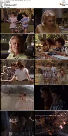The Wonder Years S01-S06 NTSC DVD REMUX MPEG2 DD 2.0 Homecoming-Rmp4L