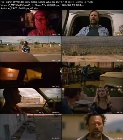 Wander 2020 1080p AMZN WEB-DL DDP 5.1 H264-NTG