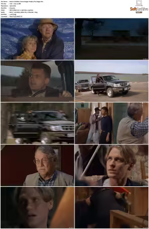 Walker Texas Ranger 1993 S01-S09 1080p WEB-DL H265 10bit DDP2.0-Zero00