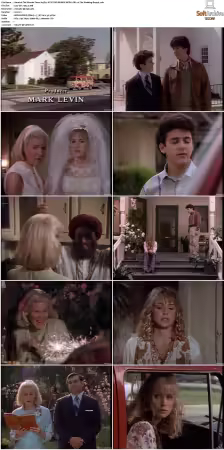 The Wonder Years S01-S06 NTSC DVD REMUX MPEG2 DD 2.0 Homecoming-Rmp4L