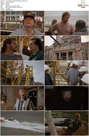 Walker Texas Ranger 1993 S01-S09 1080p WEB-DL H265 10bit DDP2.0-Zero00