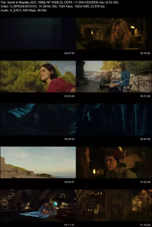 Mayday 2021 1080p NF WEB-DL DDP 5.1 H264-HDSWEB