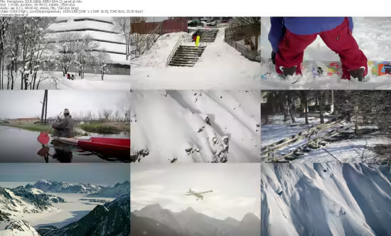 Perceptions 2015 1080p WEB H264-13