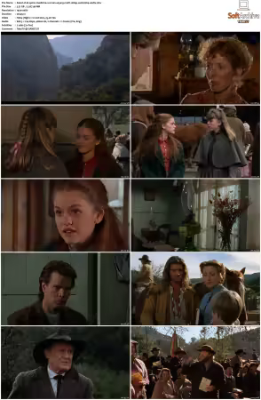 Dr Quinn Medicine Woman S03 MULTi 1080p WEB H264-UKDTV