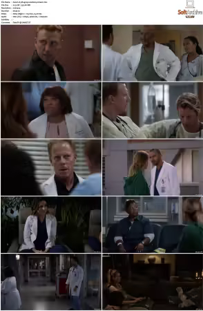 Greys Anatomy S16 DVDRip x264-PFa