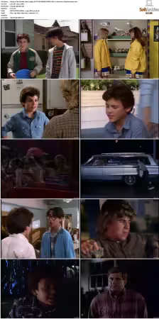 The Wonder Years S01 S06 NTSC DVD REMUX MPEG2 DD 2 0 Homecoming-Rmp4L