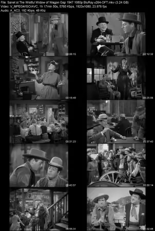 The Wistful Widow of Wagon Gap 1947 1080p BluRay x264-OFT