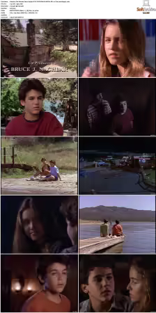 The Wonder Years S01-S06 NTSC DVD REMUX MPEG2 DD 2.0 Homecoming-Rmp4L
