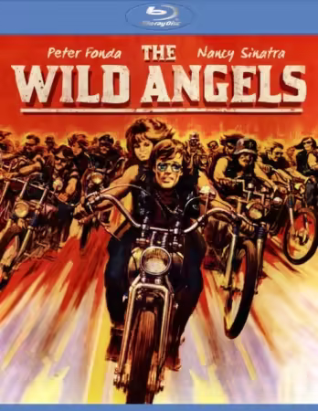 The Wild Angels 1966 1080p BluRay x264-OFT