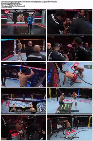 UFC Fight Night 267 Strickland Vs Hernandez Prelims 1080p WEB H264-VERUM