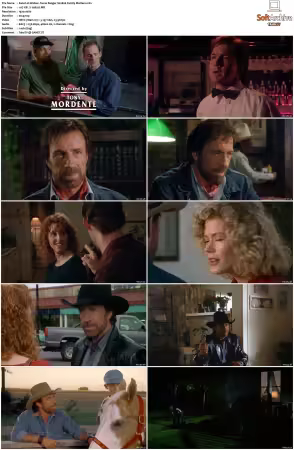 Walker Texas Ranger 1993 S01 S09 1080p WEB-DL H265 10bit DDP2.0-Zero00