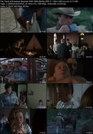Brokeback Mountain 2005 1080p BluRay DDP 5.1 10bit H265-iVy