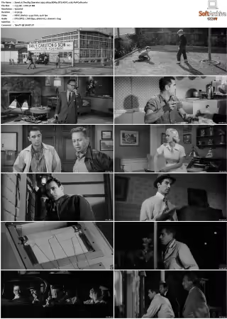 The Big Operator 1959 1080p BDRip DTS HEVC x265-PoPCoRn