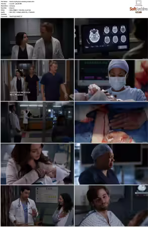 Greys Anatomy S16 DVDRip x264-PFa