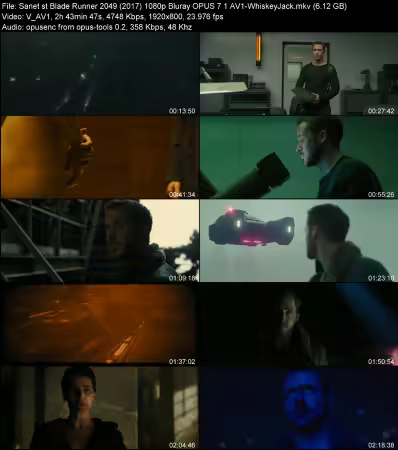 Blade Runner 2049 2017 1080p Bluray OPUS 7.1 AV1-WhiskeyJack