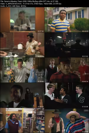 Mystery Team 2009 1080p BluRay x264-OFT