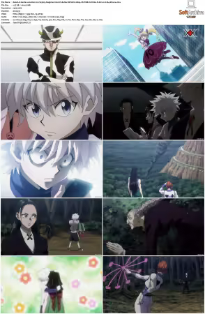 Hunter x Hunter 2011 S03 REPACK 1080p CR WEB-DL DUAL FLAC2 0 H 264-Kitsune
