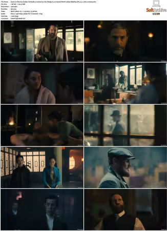Warrior S01 S03 1080p WebRip EAC3 5.1 x265-Lootera