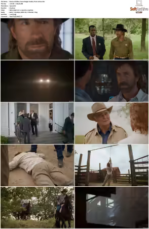Walker Texas Ranger 1993 S01-S09 1080p WEB-DL H265 10bit DDP2.0-Zero00
