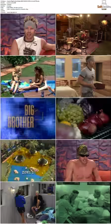 Big Brother US S05 AMZN WEB-DL DDP2.0 H264-BTW