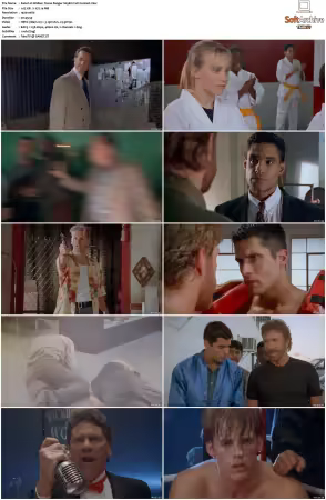 Walker Texas Ranger 1993 S01-S09 1080p WEB-DL H265 10bit DDP2.0-Zero00