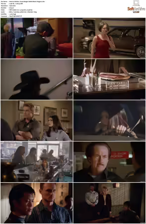 Walker Texas Ranger 1993 S01-S09 1080p WEB-DL H265 10bit DDP2.0-Zero00