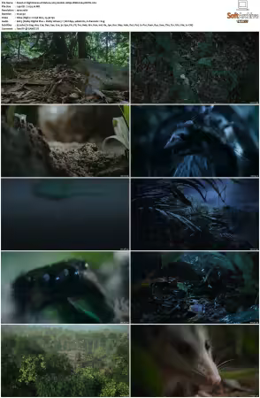 Nightmares of Nature 2025 S02 1080p WEB h264-EDITH