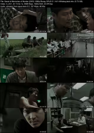 Memories of Murder 2003 1080p Bluray OPUS 5.1 AV1-WhiskeyJack