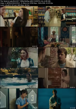 Lady Bird 2017 1080p BluRay x265-YAWNTiC