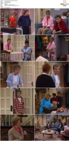 The Facts of Life S08 WEB x264-NGP