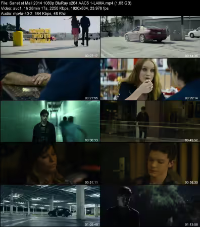 Mall 2014 1080p BluRay x264 AAC 5.1-LAMA